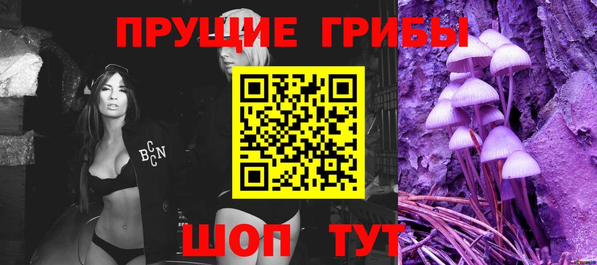 Псилоцибиновые грибы Psilocybine cubensis Большой Камень