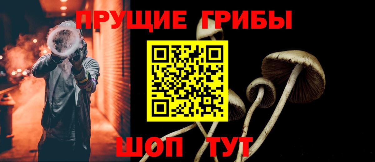 Большой Камень  Галлюциногенные грибы прущие грибы  Вход с VPN 